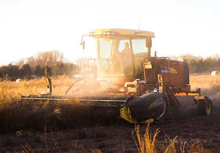 Harvesting Insurance