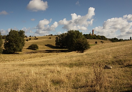 Vacant Land Insurance